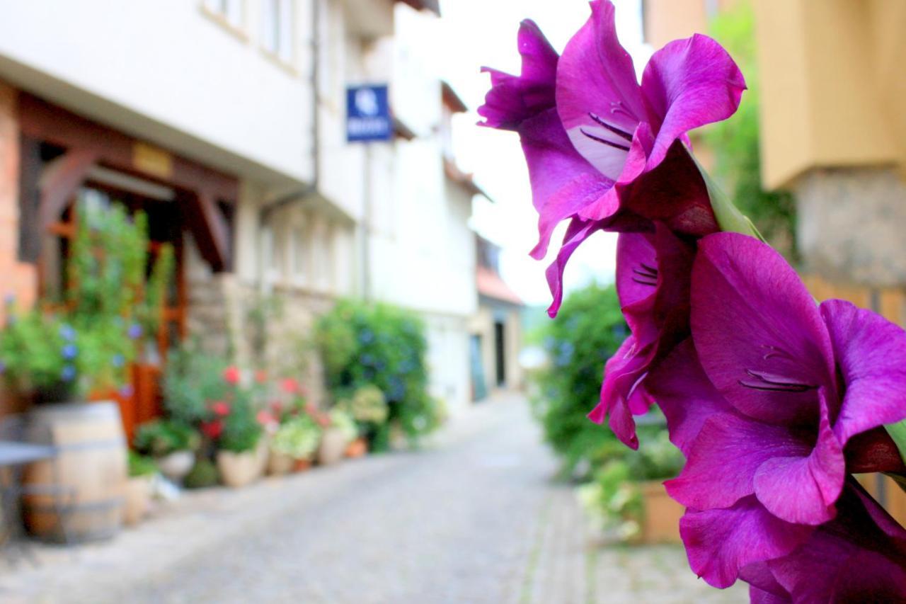 D & S Hotel & Ferienwohnungen Besigheim Ngoại thất bức ảnh