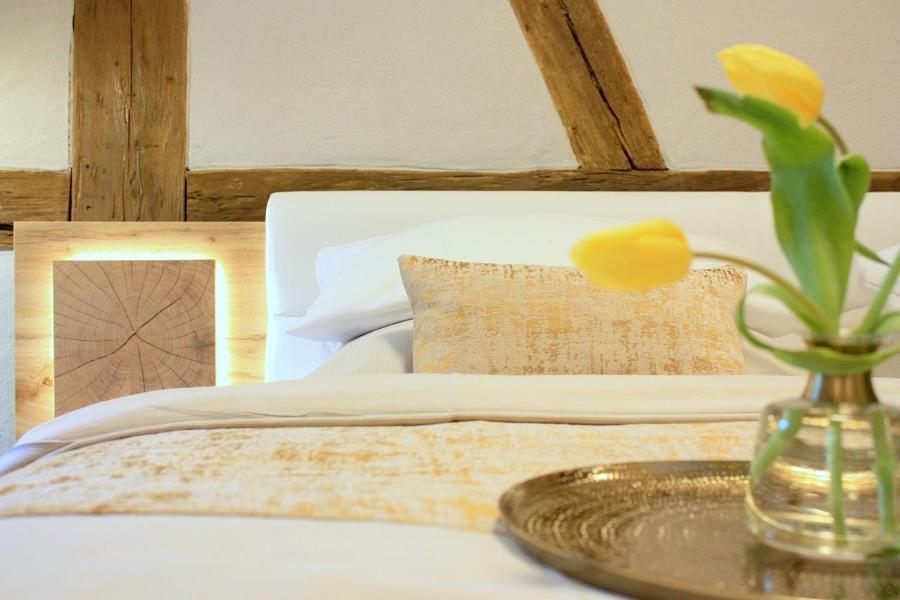 D & S Hotel & Ferienwohnungen Besigheim Ngoại thất bức ảnh